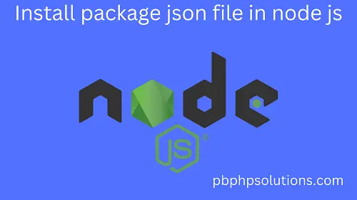 install package json file in node js